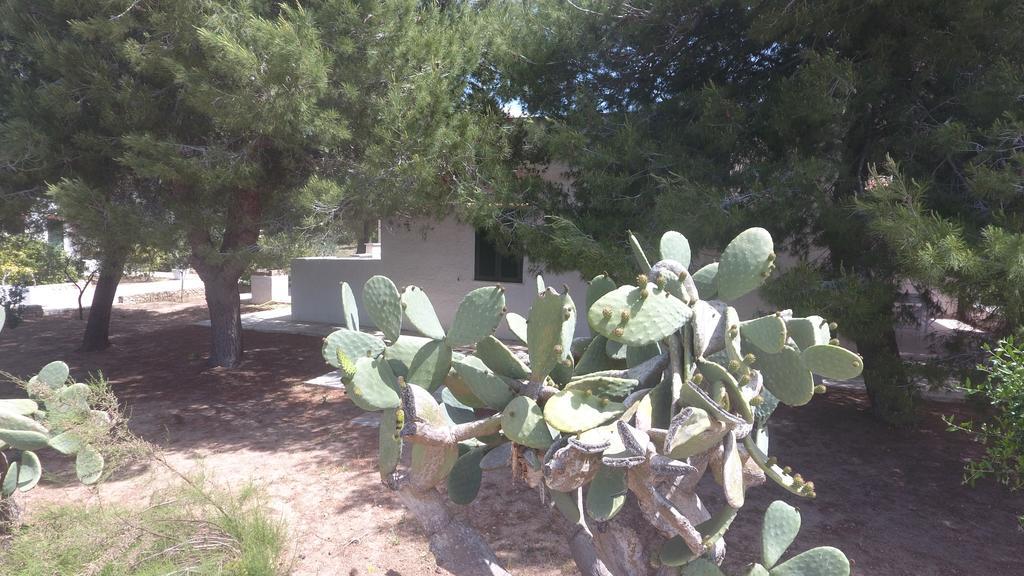 Appartamenti In Villa Senia فافينانا المظهر الخارجي الصورة